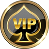 bonus vip casino online