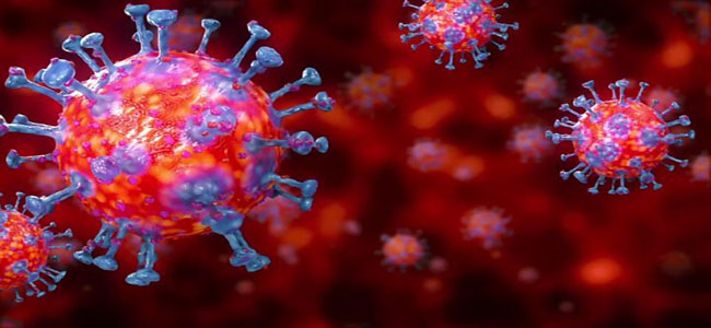 coronavirus e scommesse sportive online